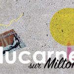 lucarne-header Lucarne header