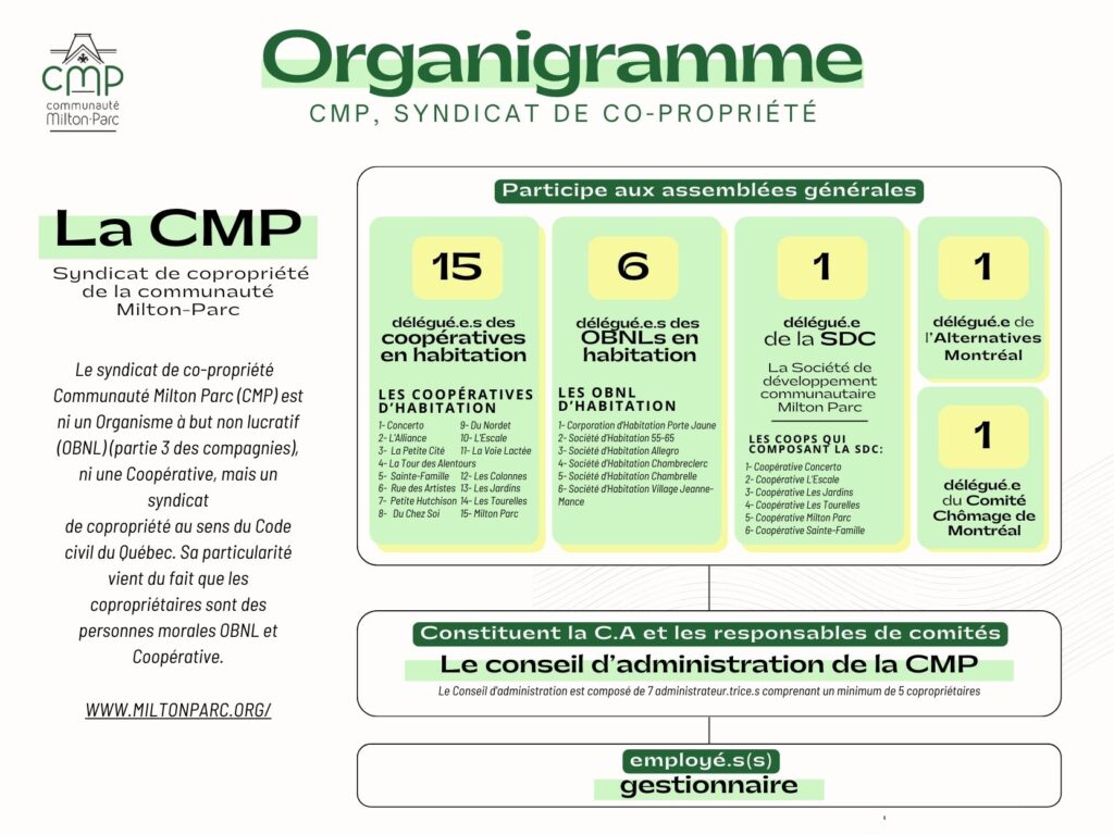 Organigramme de la CMP
